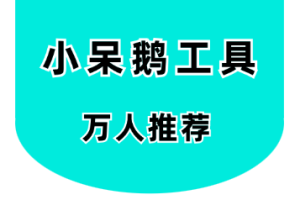 小呆鹅工具-让你重新定义“混剪”