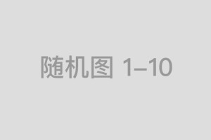 鼎和财险贵州分公司依托金融“五篇大文章” 启动新质生产力新引擎